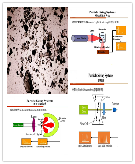 Advantages and disadvantages of various particle size testing methods