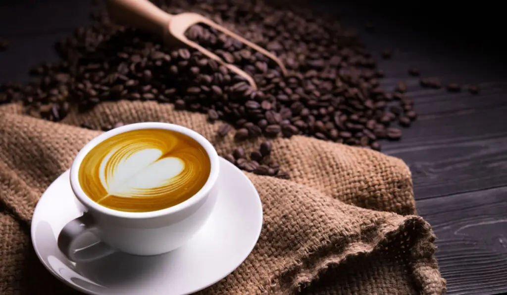 The development trend of laser particle size analyzer in coffee industry